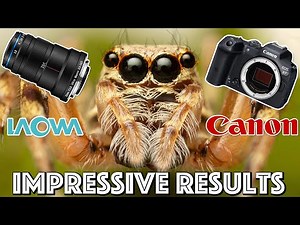 Canon R7 & Laowa 25mm Extreme Macro Photography: First Impressions & Sample Shots