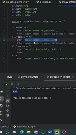 ¿Cómo Crear un Menú Interactivo en Python Usando while True?