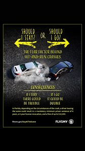 Florida Department of Highway Safety and Motor Vehicles on Reels