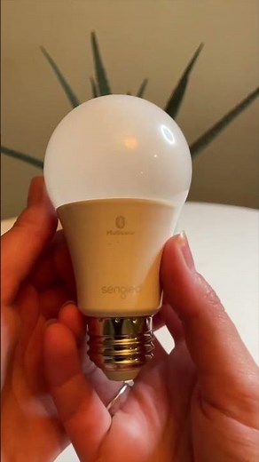 Sengled bluetooth smart bulbs are the best friends of Amazon Alexa?