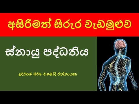 Nervous System (ස්නායු පද්ධතිය)