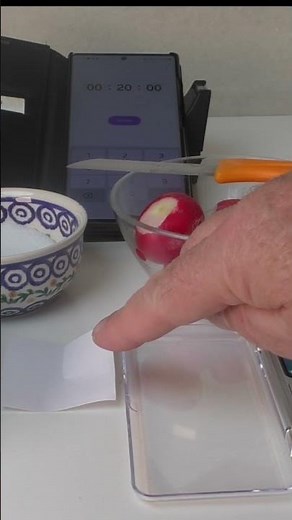 OSMOSE RADIESCHEN MIT Musik! #diy #experiment #science #education #biology