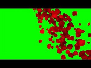 Romantic flying red rose flower petals Green Screen Video,Animated background video effects