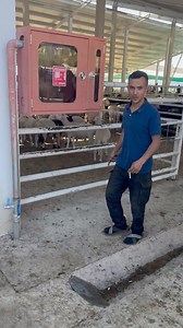 1.4K views · 3.5K reactions | Hayvan pazarları kurbandan sonra...