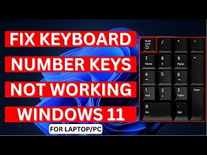 Fix Keyboard Number Keys Not Working Windows 11 Laptop/PC (2024)