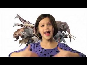 ASL Animals Song - Song only