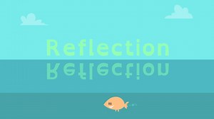 Reflection | PBS LearningMedia