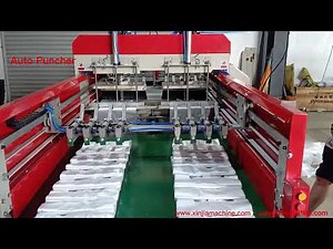 Full Automatic Double Line HDPE LDPE Polythene Plastic Bag Making Machine