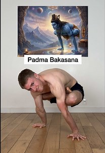 Padma Bakasana: Daily Yoga for Flexibility in Under 7 Days