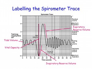 A-level Biology Questions by topic : Spirometer and Lung Volume Questions  —  Online A level Biology Tutor
