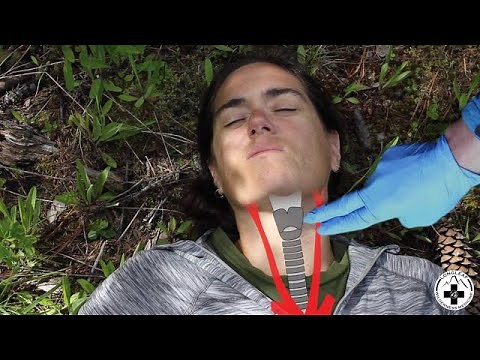 Pulse Check: Finding the Carotid Pulse