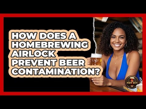 How Does A Homebrewing Airlock Prevent Beer Contamination? - The Pint Guy