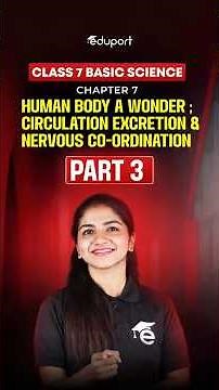 Basic science Chapter 7|Human Body a Wonder : Circulation Excretion & Nervous Coordination | Part 3