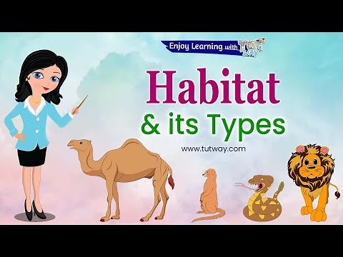 Animals and their Habitats | Habitat of Animals | Animal Habitats | Animal Homes | Science