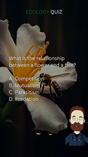 46K views · 1.8K reactions | Ecology Quiz | Eco Explorer: Test Your Environmental Knowledge  | #ecology #quiz #nature #ecosystem #science #school #education #learning #getlearning #knowledge #challenge #quiztime #trivia #facts #brainteaser #educationalcontent #fyp #quizbee | Quizzy Bee | Facebook