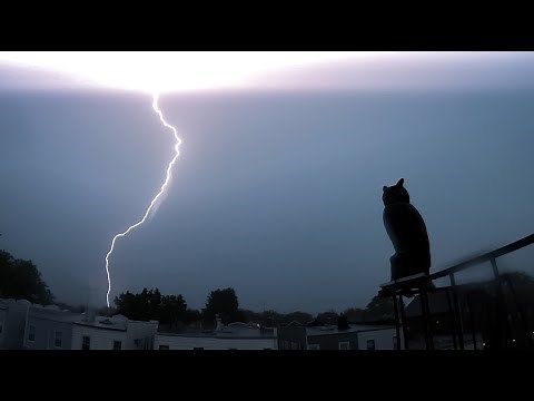 NYC Severe THUNDERSTORM 06/08/21 | Dangerous Lightning Strikes & Loud Thunder Ambience | Brooklyn NY