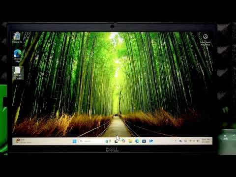 DELL Latitude 3520 – How to Copy and Paste