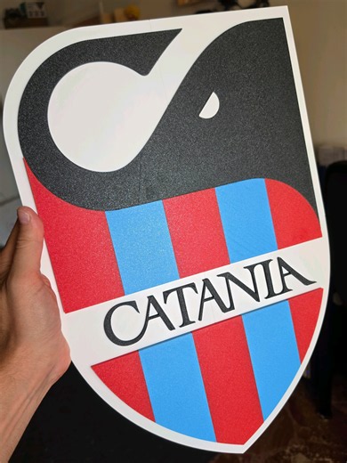 Logo Catania 3D: come trasformarlo in un'opera da parete