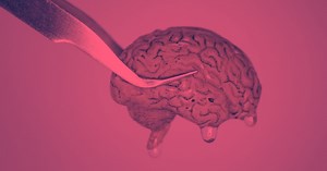 49 interesting human brain facts and stories you need to know