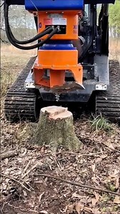 #shorts #short #stump #tree #heavy equipment #feed #feedshorts #didyouknow #tool #video #excavator