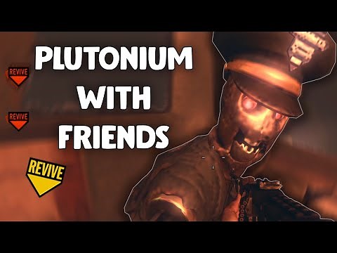 HOW TO PLAY BO2 PLUTONIUM WITH FRIENDS