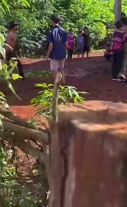 264K views · 16 reactions | ZTO Global Logistics Laos on Reels | Facebook