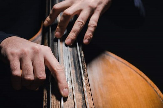 15 Famous Double Bass Players You Should Know