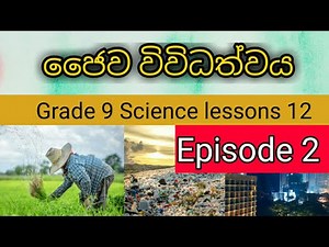 Grade 9 Science lesson 12 (episode 2), PCC Education