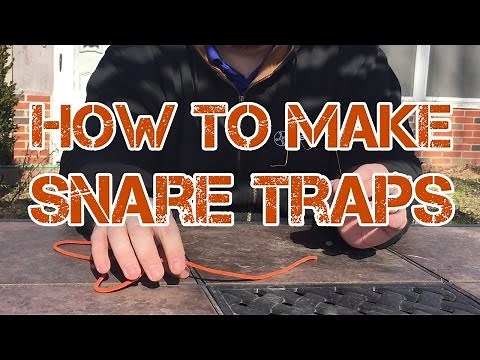 How to Make Snare Traps