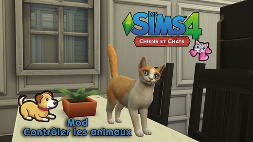 Mod pour contrôler les animaux - Mod Sims 4