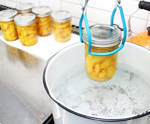 A Beginner's Guide to Canning at Home
