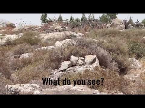 The Art of Camouflage