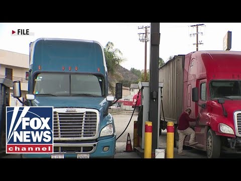 Migrant truck drivers SUE California DMV over revoked CDLs: 'DO BETTER'