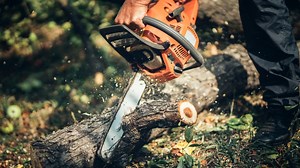 Best chainsaws: top picks for efficient cutting, power options, and safety features