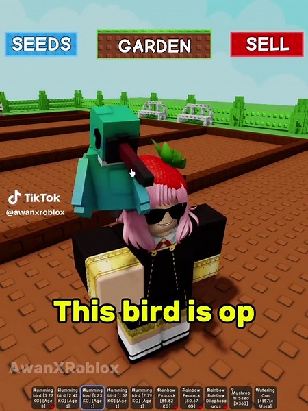 Hummingbirds in Grow a Garden: Their Uses and Benefits