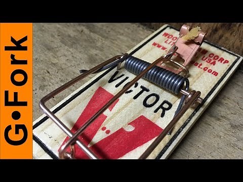 How To Get Rid Of Mice with MORE Mouse Trap Hacks | GardenFork
