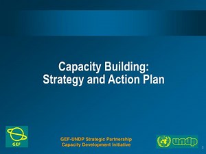 Capacity Building: Strategy and Action Plan - SlideServe