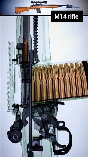 M14 Rifle: Iconic American Battle Rifle Explained