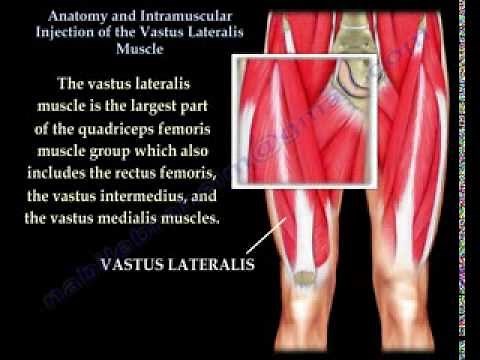 Vastus Lateralis intramuscular Injection - Everything You Need To Know - Dr. Nabil Ebraheim