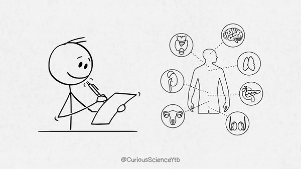 How Do Lie Detectors Actually Work?