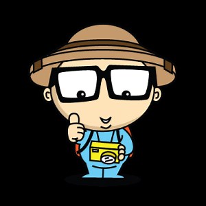 Anteater Fun for Kids: Facts & Coloring Page Activities