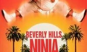Beverly Hills Ninja - Where to Watch and Stream Online – Entertainment.ie