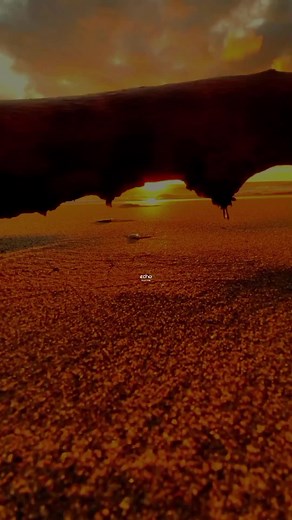 Echo Music Pipeline (@echomusicpipeline)’s videos with original sound - Echo Music Pipeline