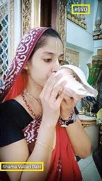 Amazing Conch blowing sound 🐚 👉 | Conch Shell 🐚 | SVD #shorts