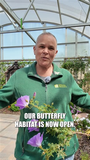 2.9K views · 73 reactions | ﻿﻿✨ Spring has arrived at the Springs...