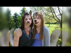 Dog Tf