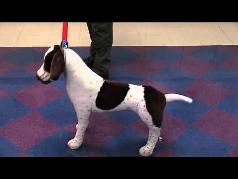 County of San Diego Animal Services Ketch Pole Training