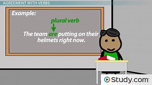 Collective Noun | Definition & Examples