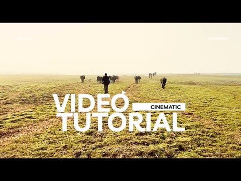 cinematography cinematic tutorial video