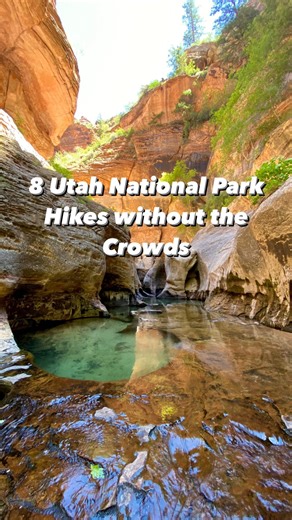 8 Epic Hikes in Utah National Parks without the crowds. SAVE this reel if you’re planning a Utah National Parks trip. 📍West Rim Trail -Zion 📍Sulphur Creek - Capitol Reef 📍Observation Point via East Mesa Trailhead -Zion 📍Upper Muley Twist -Capitol Reef 📍Cathedral Valley -Capitol Reef 📍Big Springs Canyon - Canyonlands 📍Chesler Park Loop - Canyonlands 📍Subway -Zion Remember, if you’re headed out into nature to always follow the @leavenotraceorg principles. Thanks @wandering_jessica_ for the
